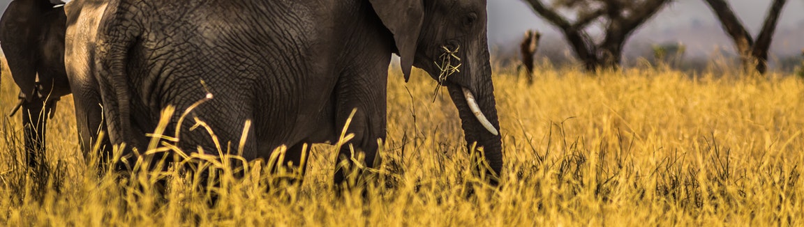 Photo by Follow Alice from Pexels