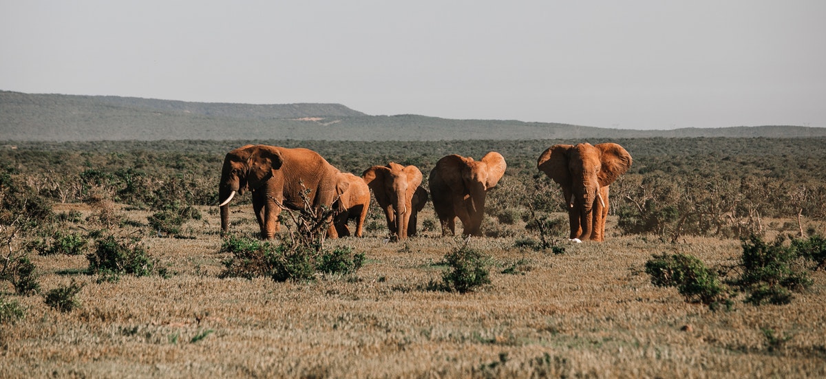 Photo by Rachel Claire from Pexels