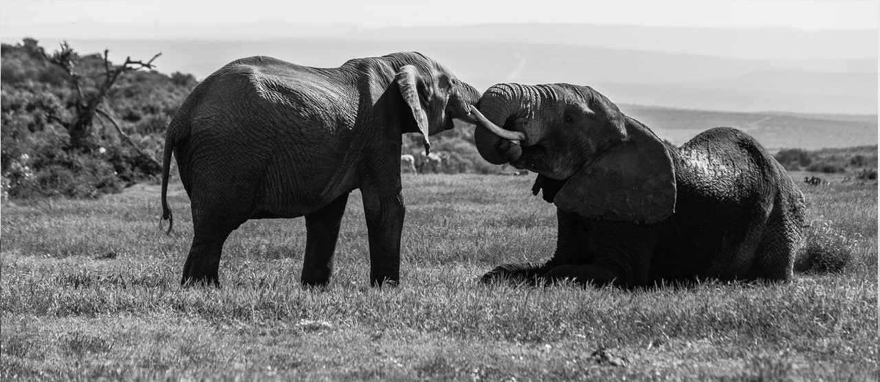 Photo by Rachel Claire from Pexels